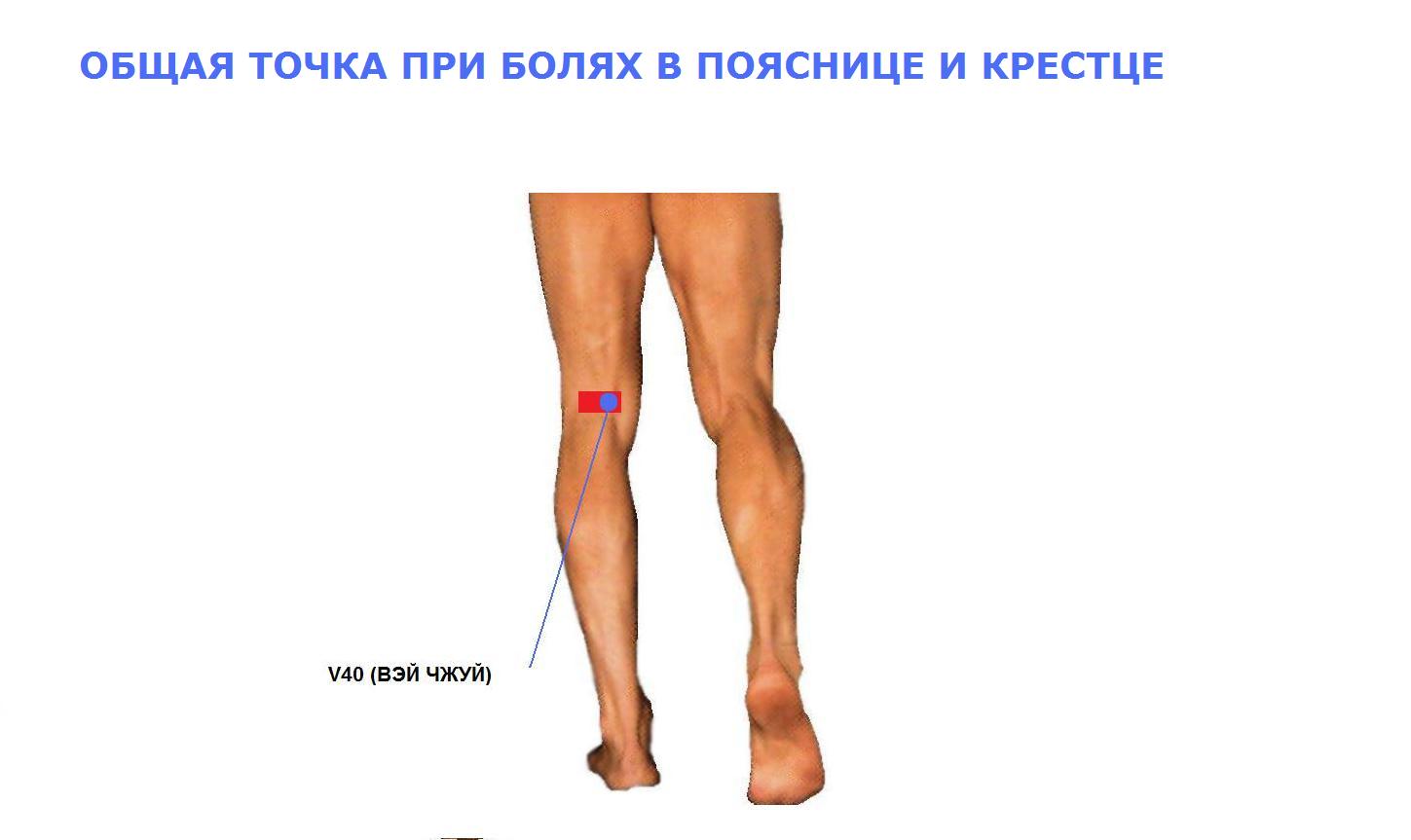 Индюки Форум Заболевания, характеризующиеся болью в суставах пальцев рук