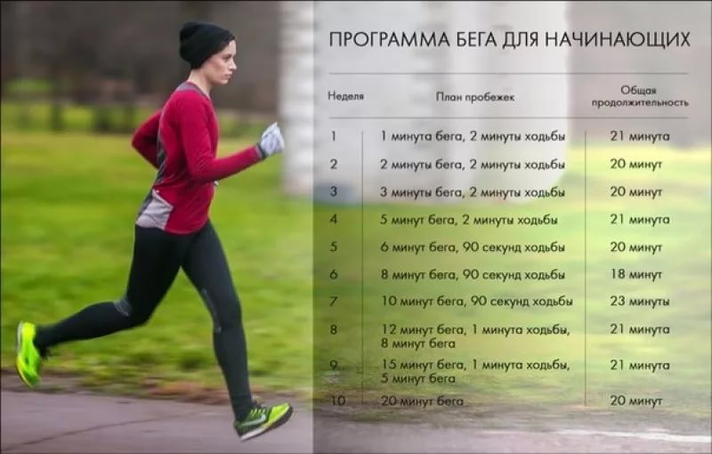 Игрушки в огород Игрушки в огород