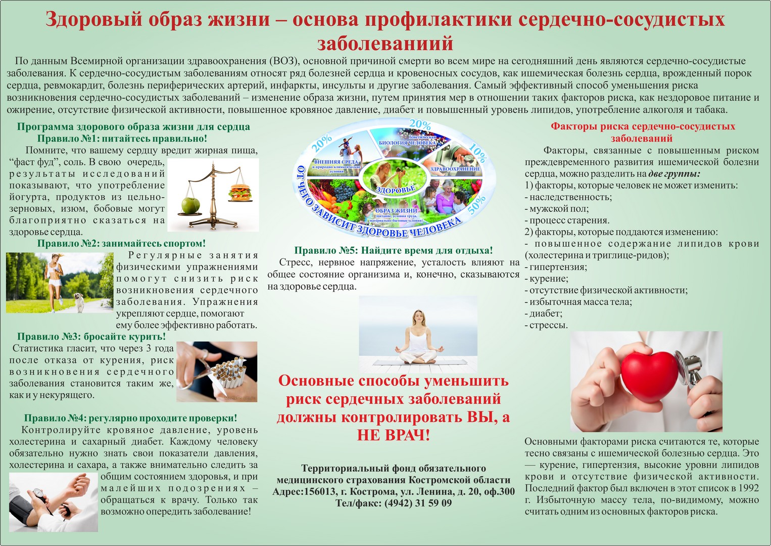 Как сделать профилактику сосудам Как сделать профилактику сосудам