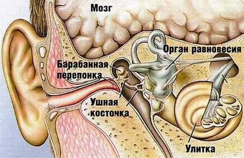 Почему закладывает уши при болезни Почему закладывает уши при болезни