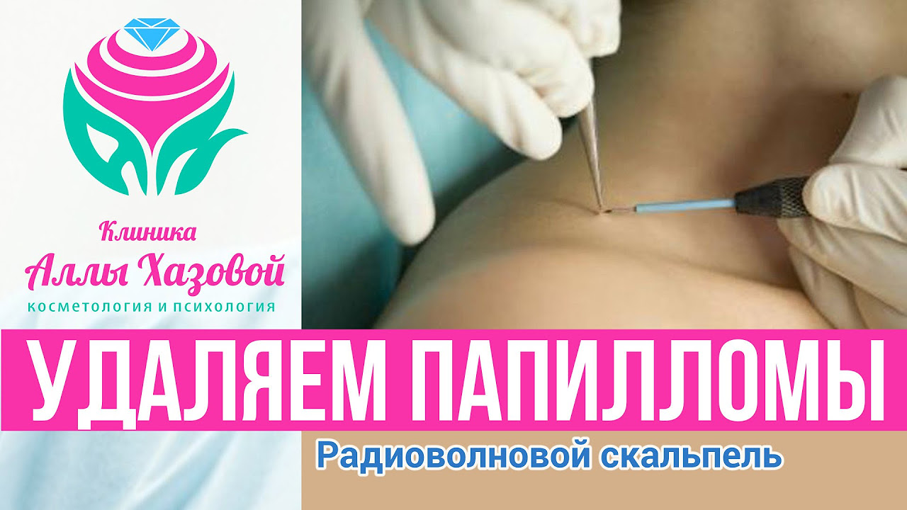 Подарок из памперсов для мальчика "Бегемот на велосипеде Основные типы животных. Типы животных