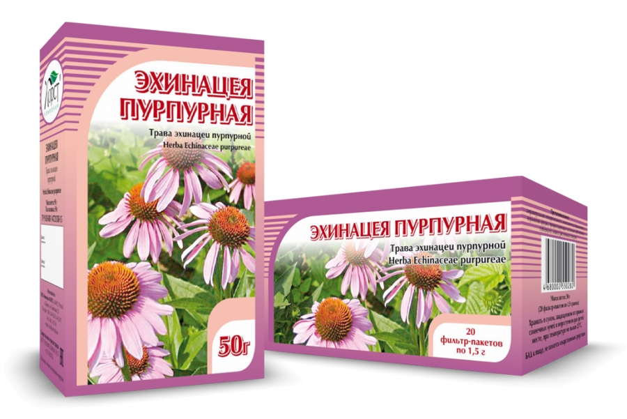 Эхинацея от аденомы Эхинацея от аденомы