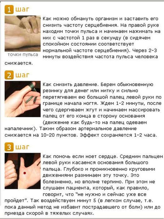 Чем можно снизит давление в домашних условиях Чем можно снизит давление в домашних условиях