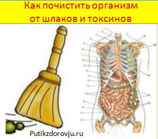 Вязание для детей » Петля - вязание на все случаи жизни! Вышивка нитками - уроки кройки и шитья