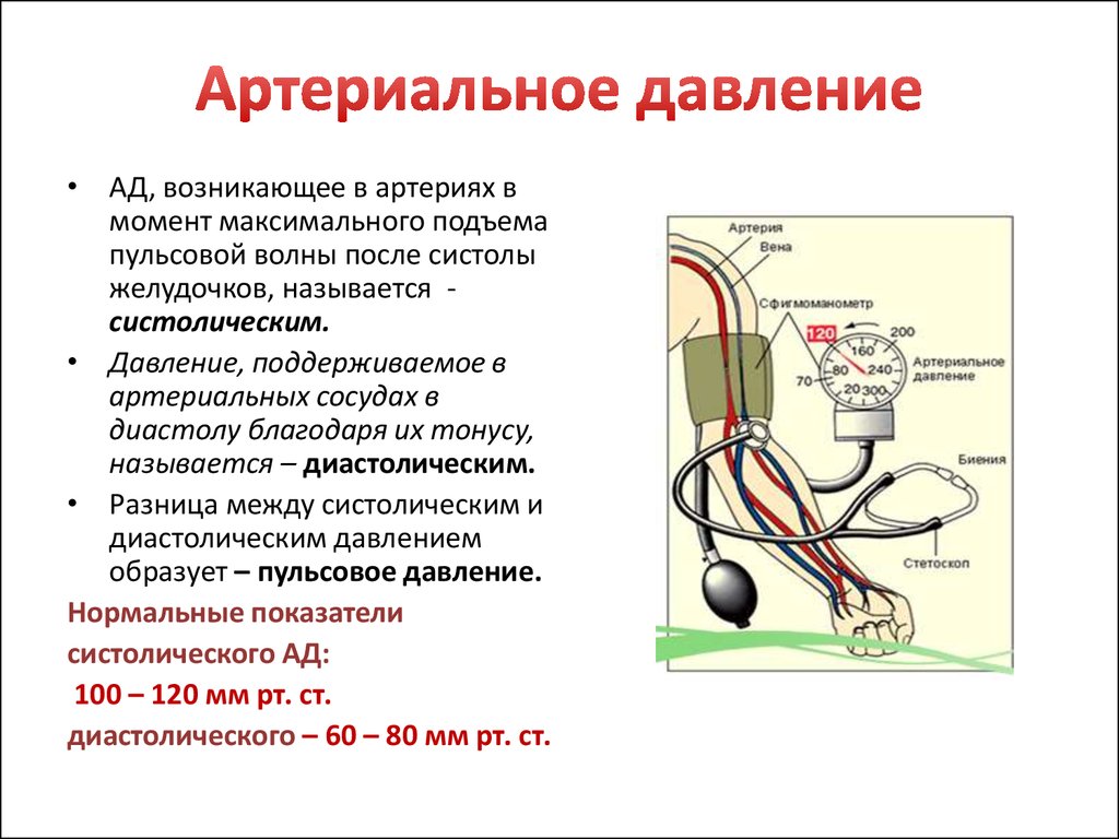 Чем в домашних условиях повысить ад Чем в домашних условиях повысить ад