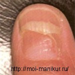 Раскраски для детей и взрослых, дитячі розфарбовки. Детский Поздравления с юбилеем тете, тетушке