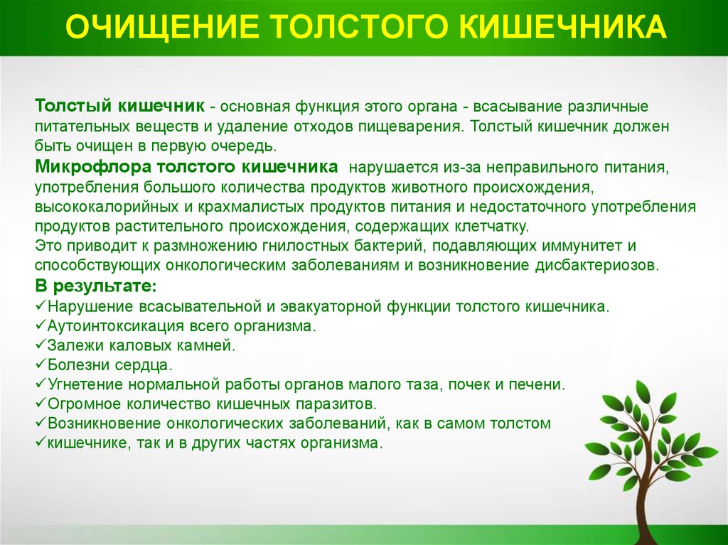 Как проводить очищение кишечника Как проводить очищение кишечника