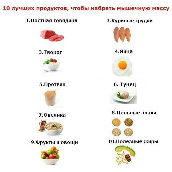 Набираем мышечную массу в домашних условиях мужчине Набираем мышечную массу в домашних условиях мужчине