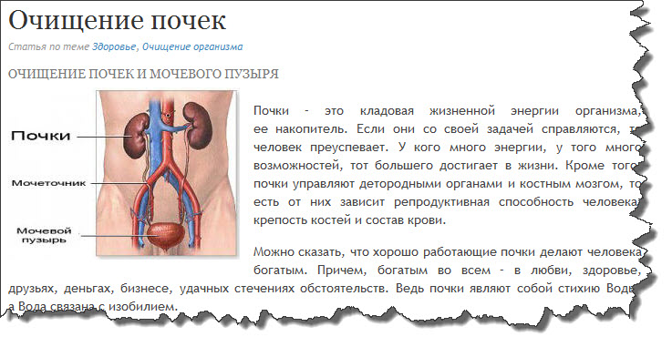 Как почистить почки в домашних условиях от песка Как почистить почки в домашних условиях от песка