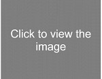Attractive young women blow jobs free Nudist girls outdoors photos