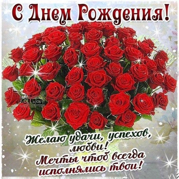 https://img05.rl0.ru/5537b63a7c779b56030ad23eecd461c2/c700x700/avatars.mds.yandex.net/get-pdb/367895/97490cdd-3013-4c8b-8088-ae9d744146b6/s1200?webp=false