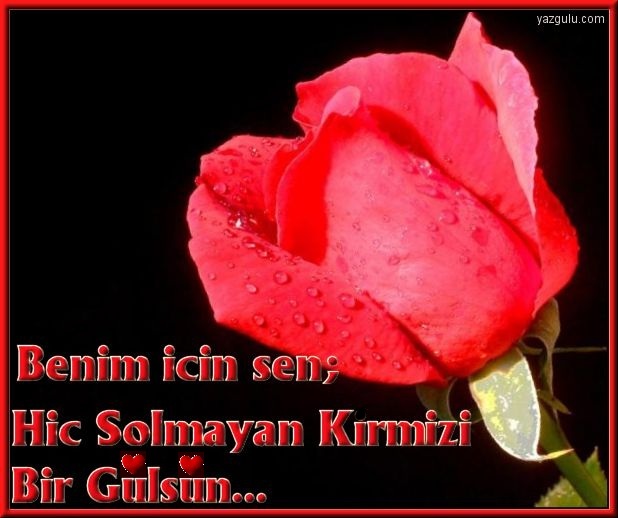yeni mobi