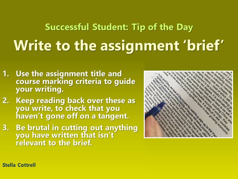 Compare And Contrast Essay About High School And College Argumentative Essay On Health Care Reform also Assignment Online Buy How To Be Successful Student Essay Buy A Business Plan Uk