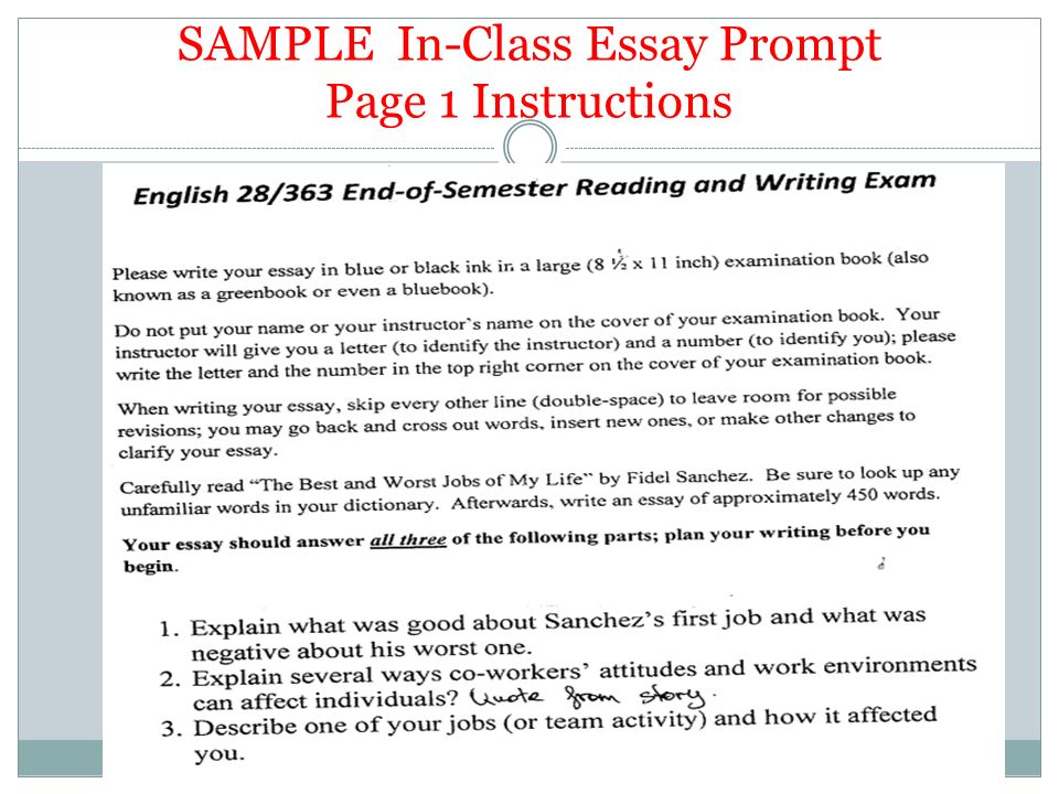 Buying an essay unforgettable experience