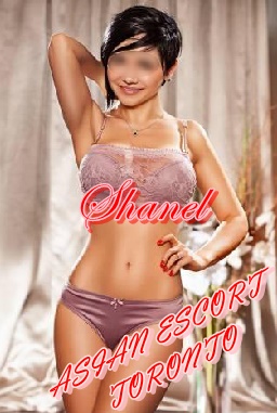 Escorts swallow toronto