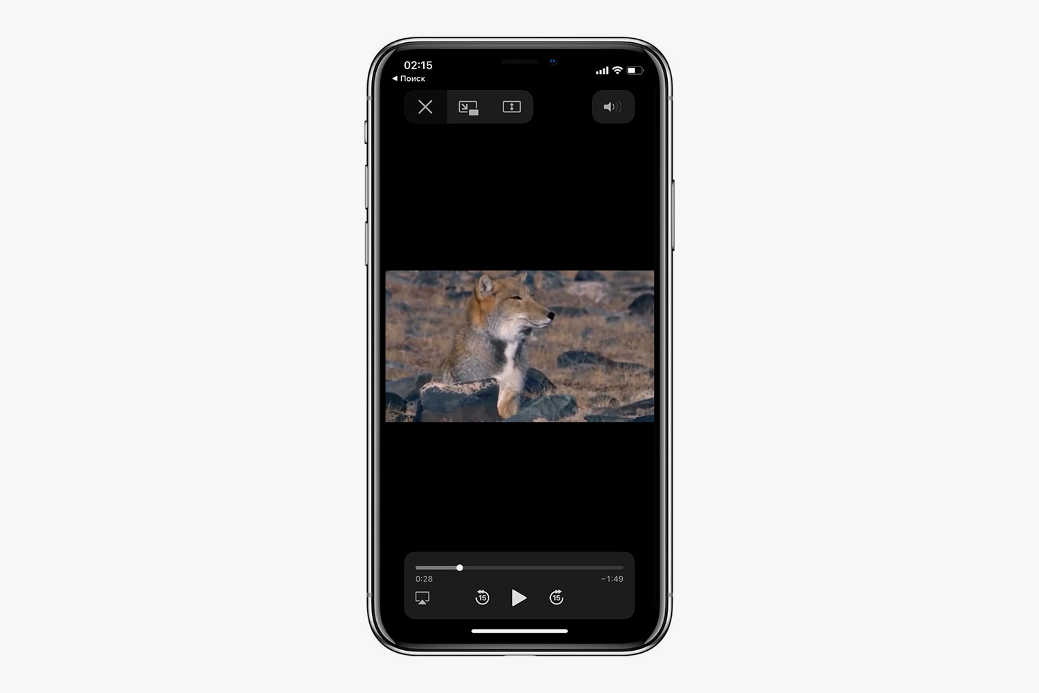 Как в iOS 14 смотреть видео с ютьюба в режиме «картинка в картинке» - Афиша  Daily