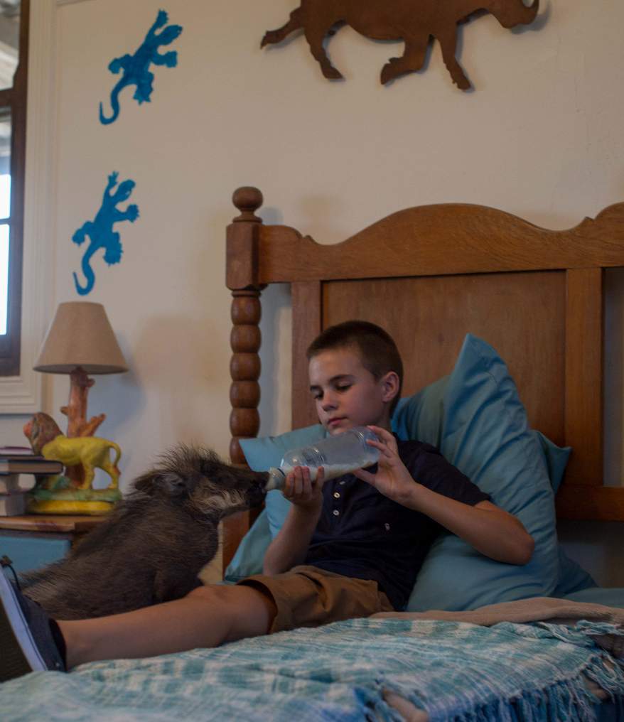 Фильм Миа и белый лев (Франция, ЮАР, Германия, 2018