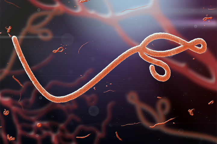 По последним данным от Эболы погибли около 6 тысяч человек
