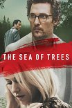 Море деревьев / The Sea of Trees