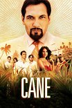 Плантация / Cane