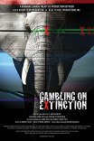 Матрица будущего: власть алгоритмов / Gambling on Extinction