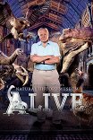 Музей естественной истории с Дэвидом Аттенборо / David Attenborough's Natural History Museum Alive