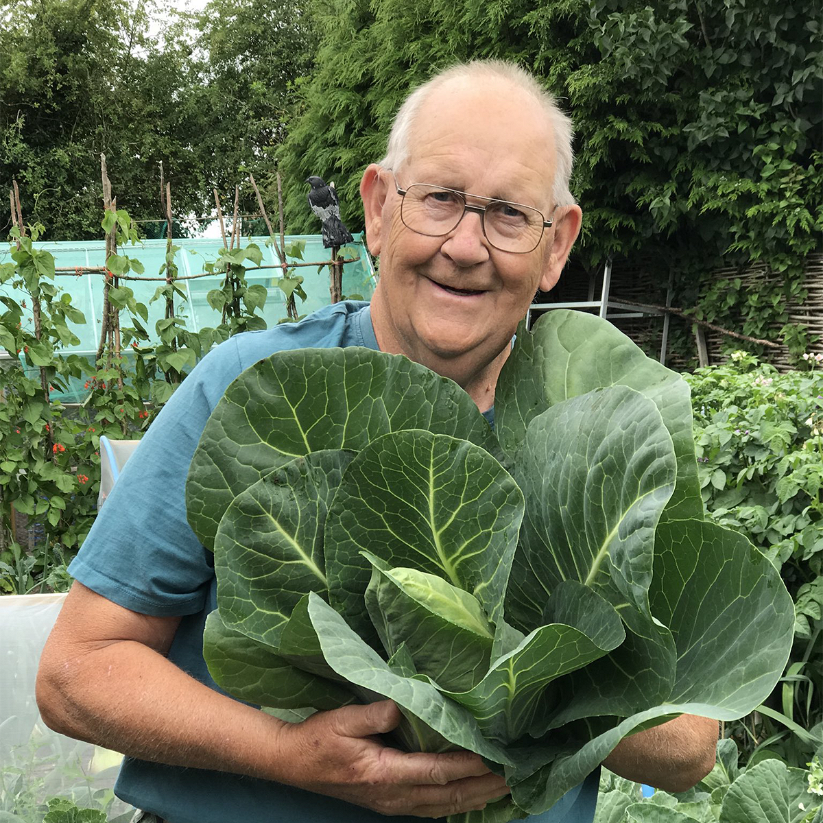 Сельдерей и капуста: твиттер в восторге от этого огородника и его гигантских овощей