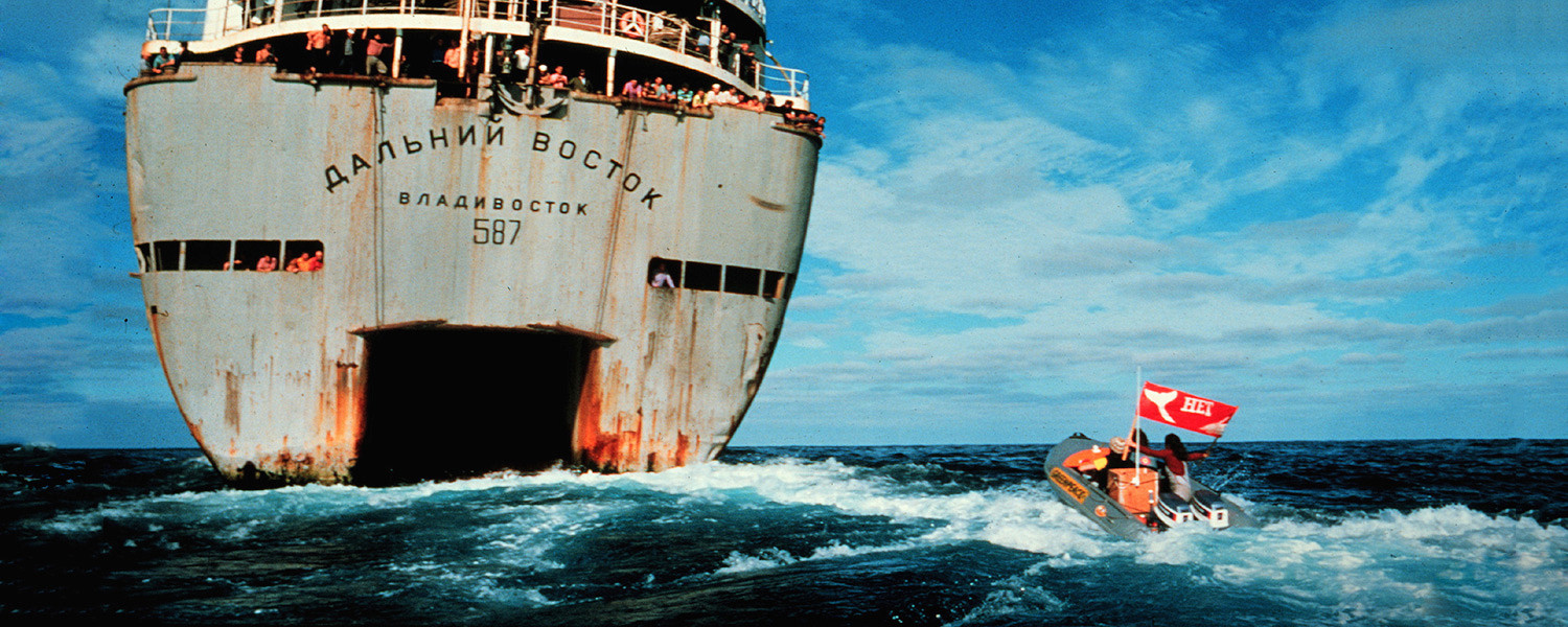 «Как изменить мир»: деревянный корабль, с которого начался Greenpeace