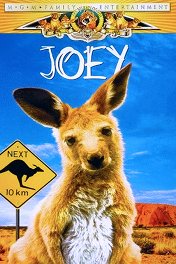 Джой / Joey