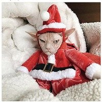 Фото Иван Антипенко