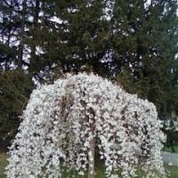 Что посмотреть в ленкоме. Смотреть фото Что посмотреть в ленкоме. Смотреть картинку Что посмотреть в ленкоме. Картинка про Что посмотреть в ленкоме. Фото Что посмотреть в ленкоме