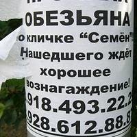 Фото Lyudmilkin Туровцева