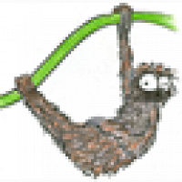 Фото plumbumchoki