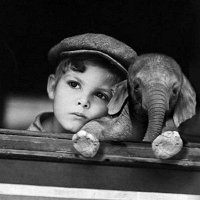 Фото Dmitry Gazaryan