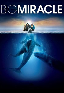 Все любят китов