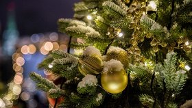 Новогодняя Вечеринка 2022 В Ростове На Дону