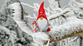 Тайна Деда Мороза