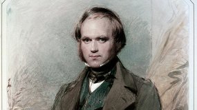 Дарвин и мы