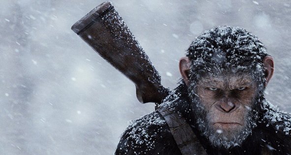 100 лучших сиквелов в истории кино. Рейтинг Rotten Tomatoes