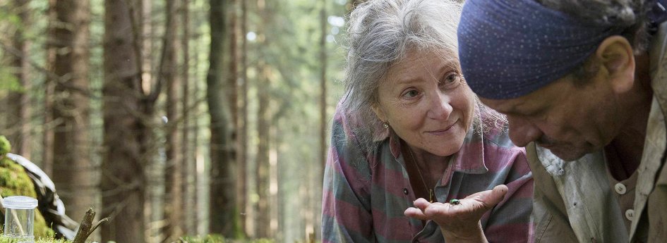 Кино: «След зверя» Кино: «След зверя»