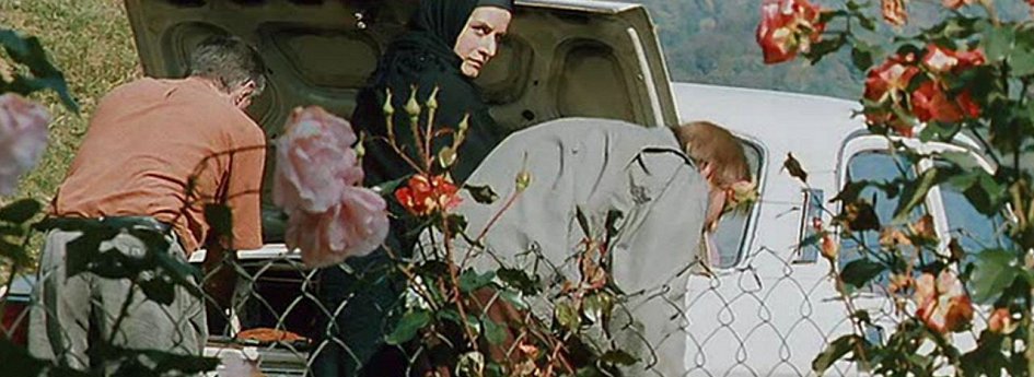 Фильм «Время танцора» Кино: «Время танцора»