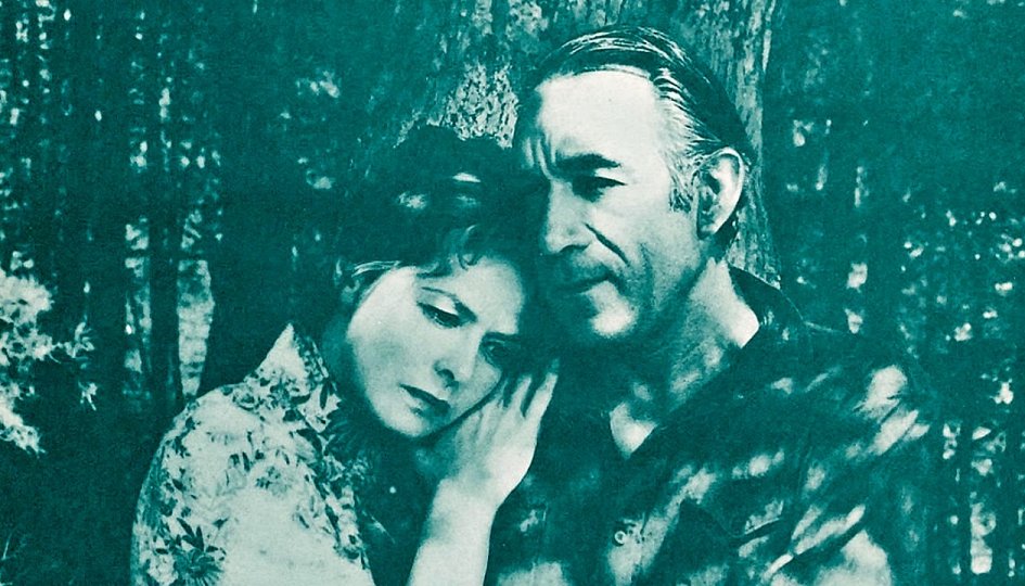 Кино: «Прогулка под весенним дождем» Кино: «Прогулка под весенним дождем»