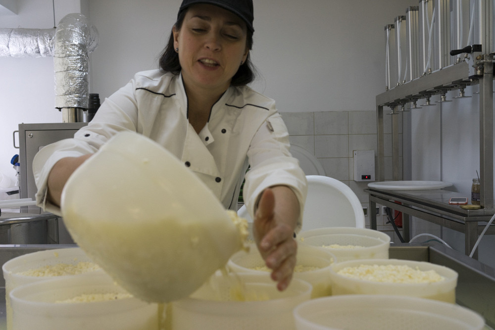 Как делается сыр. Формование сыра наливом. Мастер класс по изготовлению сыра. Самопрессование сыра на производстве. Формирование сырной массы.