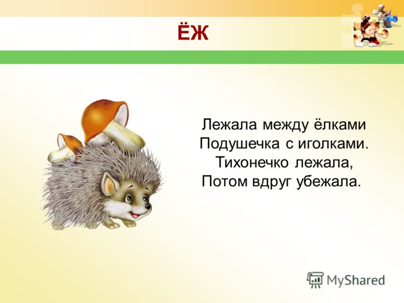 Ежик загадка. Загадка про ежика для детей 4-5 лет. Загадка про ежа. Загадка про Ёжика для детей. Загадка про ежика.