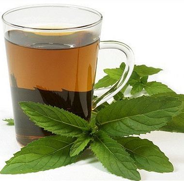 Рецепт Мятный травяной чай