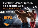 Турнир по боксу "ProfiFighter" по версии WFL Турнир по боксу "ProfiFighter" по версии WFL